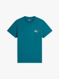 Μπλε Slim Βαμβακερό T-Shirt Με Signature Λογότυπο  Άνδρες