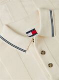 Beige Regular Fit Textured Knit Polo Shirt  Men