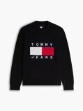 Black Regular Flag Crew Neck Sweater  Men