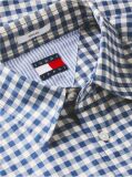 Multi Regular Fit Check Oxford Shirt  Men