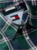 Multi Regular Fit Pattern Poplin Shirt  Men