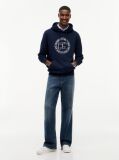 Blue Wavy Flag Graphic Terry Drawstring Hoody  Men