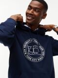 Blue Wavy Flag Graphic Terry Drawstring Hoody  Men
