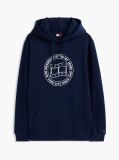 Blue Wavy Flag Graphic Terry Drawstring Hoody  Men