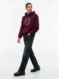 Purple Wavy Flag Graphic Terry Drawstring Hoody  Men
