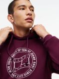 Purple Wavy Flag Graphic Terry Drawstring Hoody  Men