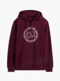 Purple Wavy Flag Graphic Terry Drawstring Hoody  Men