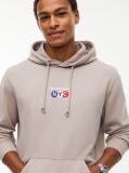 Brown Logo Embroidery Terry Drawstring Hoody  Men