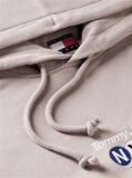 Brown Logo Embroidery Terry Drawstring Hoody  Men