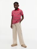 Multi Essential Flag Embroidery Regular Fit Polo  Boys