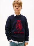 Μπλε TH Crest Intarsia Πουλόβερ Με Κλασική Λαιμόκοψη  Αγόρια