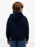 Blue Tonal Flag Logo Terry Zip-Thru Hoody  Boys