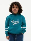 Μπλε Hoody Με Λογότυπο  Αγόρια