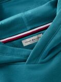 Μπλε Hoody Με Λογότυπο  Αγόρια