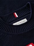 Blue Logo Graphic Jumper  Boys