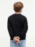 Black Heritage Flag Logo Crew Neck Jumper  Kids Unisex