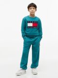 Blue Heritage Flag Logo Cuffed Drawstring Joggers  Kids Unisex