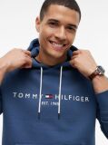 Blue Flex Logo Hoody  Men