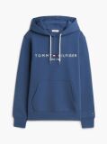 Blue Flex Logo Hoody  Men