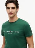 Green Organic Cotton Chest Logo T-Shirt  Men