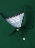 Green 1985 Organic Cotton Regular Fit Polo  Men