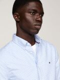 Blue Gingham Regular Fit Oxford Shirt  Men