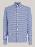 Blue Gingham Regular Fit Oxford Shirt  Men