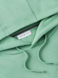 Πράσινο Hoody Από Βαμβακερό Terry Με Κεντητό Σημαιάκι  Άνδρες