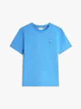Blue Flag Embroidery T-Shirt  Men
