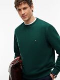Green Essential Fleece Sweatshirt  Men