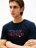 Blue Logo Graphic Crew Neck T-Shirt  Men