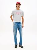 Grey Heritage Graphic Crew Neck T-Shirt  Men