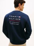 Blue Logo Embroidery Terry Sweatshirt  Men
