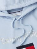 Μπλε Fleece Hoody Με Κεντητό Λογότυπο  Άνδρες