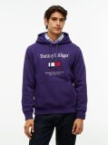 Μωβ Fleece Hoody Με Κεντητό Λογότυπο  Άνδρες