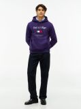 Μωβ Fleece Hoody Με Κεντητό Λογότυπο  Άνδρες