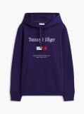 Μωβ Fleece Hoody Με Κεντητό Λογότυπο  Άνδρες