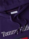 Μωβ Fleece Hoody Με Κεντητό Λογότυπο  Άνδρες
