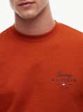 Orange Logo Sweatshirt  Men
