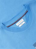 Blue Flag Graphic Jersey T-Shirt  Men