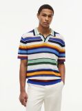 Multi Relaxed Fit Multicolour Stripe Polo Shirt  Men