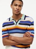 Multi Relaxed Fit Multicolour Stripe Polo Shirt  Men