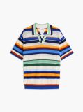 Multi Relaxed Fit Multicolour Stripe Polo Shirt  Men