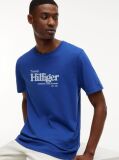 Blue Logo Graphic Jersey T-Shirt  Men