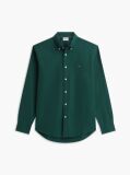 Green Regular Fit Herringbone Flannel Button-Down Shirt  Men