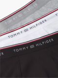 Multi 3-Pack Global Stripe Logo Waistband Trunks  Men