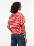 Multi Batwing Sleeve Crew Neck T-Shirt  Women