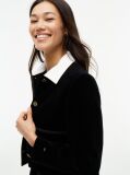 Black Festive Velvet Boxy Short Jacket  Women