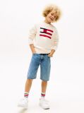 Blue Straight Leg Denim Shorts  Boys