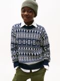 Multi Fair Isle Crew Neck Jumper  Boys